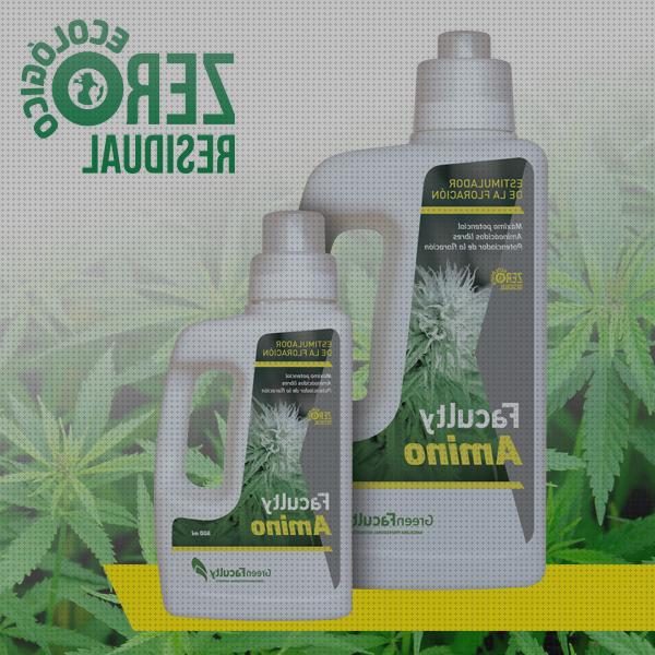 Review de aminoacidos fertilizante cannabis