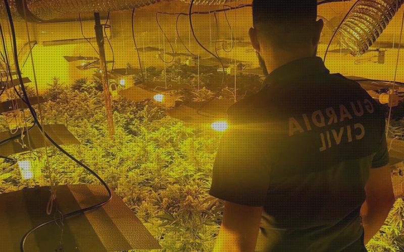 Opiniones de los 25 mejores Armarios Plantaciones Interiores Marihuanas