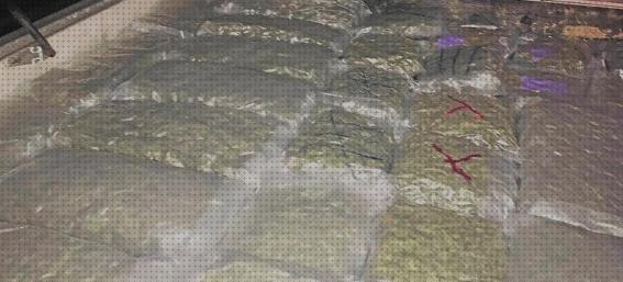 Las mejores bolsas vacio sellado cannabis