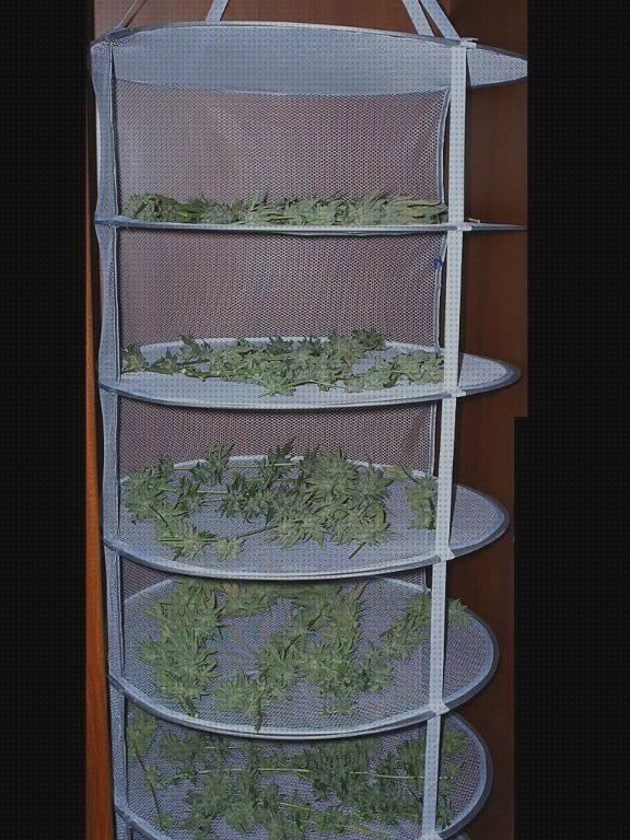 Las mejores caja de secado cannabis
