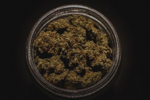 Las mejores marcas de cannabis bolsa