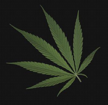 ¿Dónde poder comprar fumar cannabis cannabis fumar las hojas secas?
