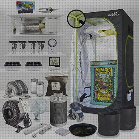 TOP 28 cannabis grow kit