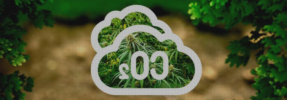 Las mejores marcas de co2 cannabis