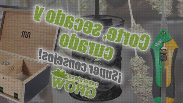 Análisis de los 22 mejores Cortados Secados Y Curados De Marihuanas