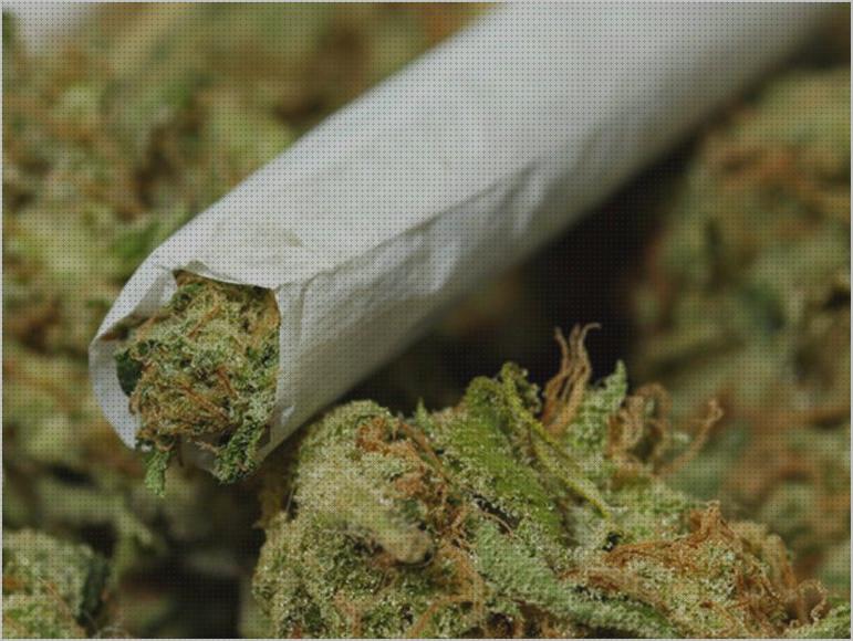 ¿Dónde poder comprar botes marihuana curado de marihuana en botes?