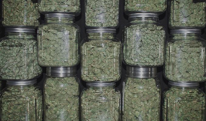 ¿Dónde poder comprar enmascarar el olor de la marihuana?