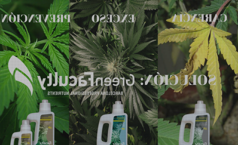 Análisis de los 25 mejores Fertilizantes Con Nitrogeno Plantas Marihuanas