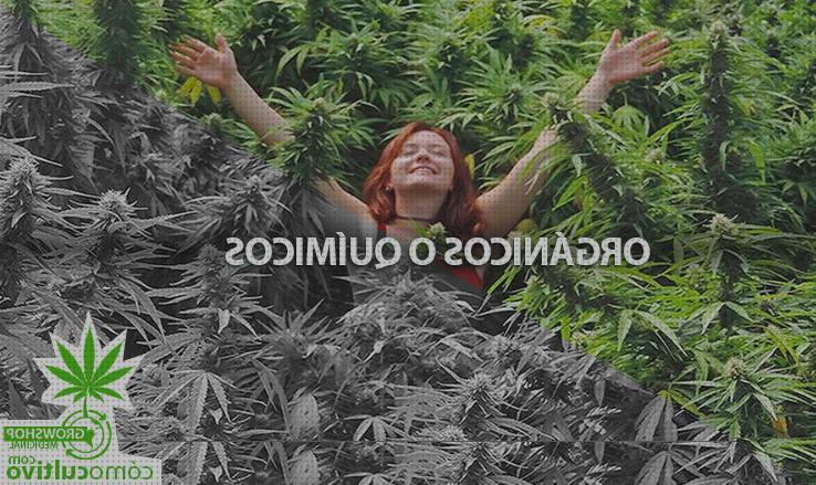 ¿Dónde poder comprar abonos fertilizantes marihuana organicos?