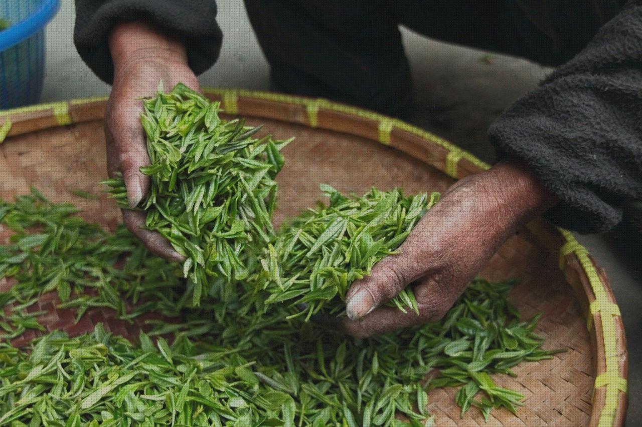 Las mejores cachimba hojas hoja seca de marihuana