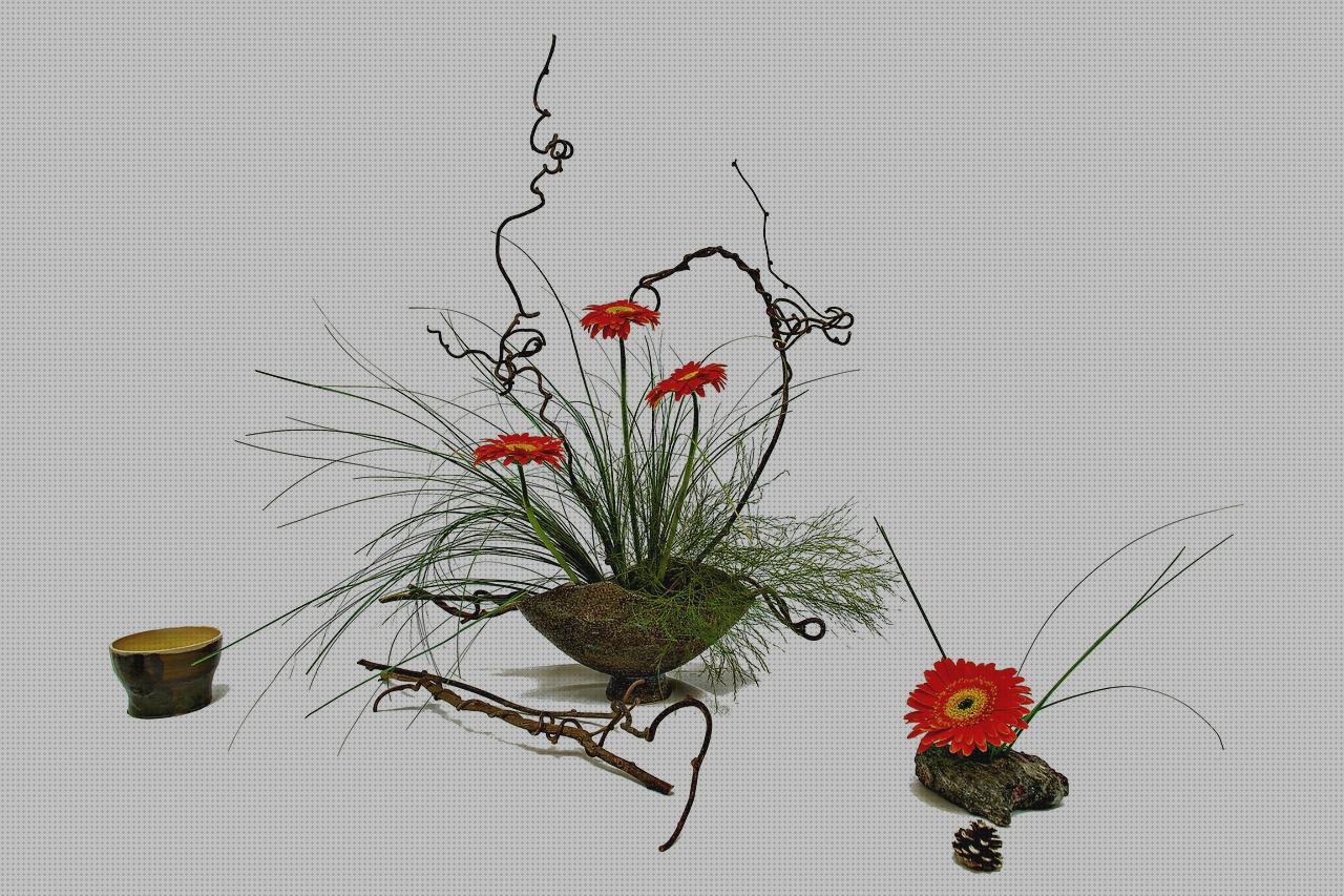 Las mejores ikebana shisha