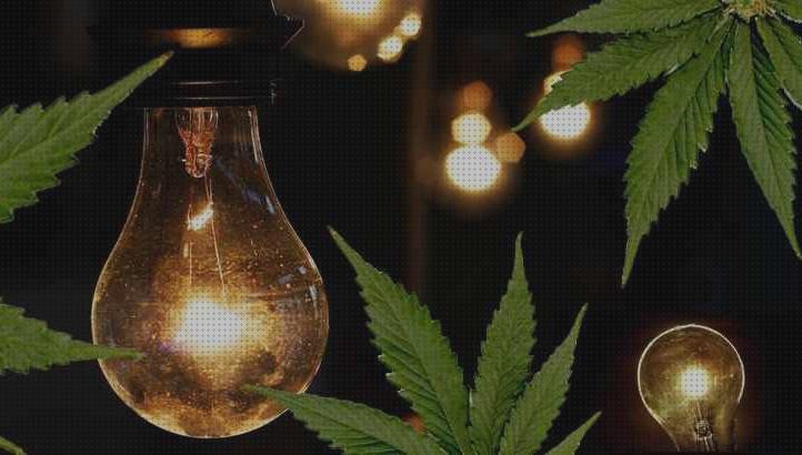 9 Mejores iluminacion artificiales marihuanas del mundo