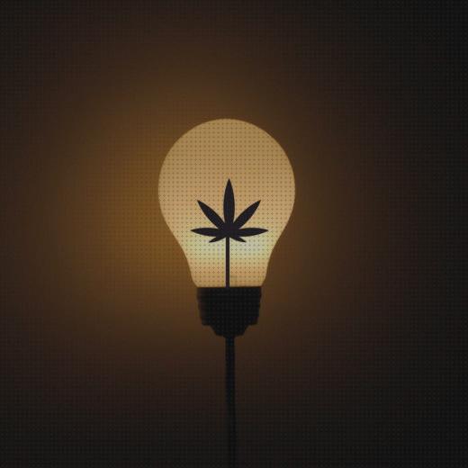 Las mejores iluminaciones cannabis iluminacion cannabis