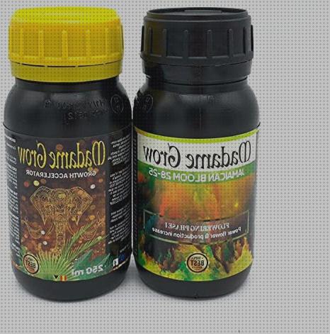 Las mejores marcas de kit semillas marihuana kit abono marihuana