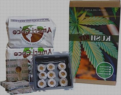 ¿Dónde poder comprar kit cultivo cannabis barato vino cannabis fertilizante semillas de cannabis autofloracion kit de cultivo cannabis?