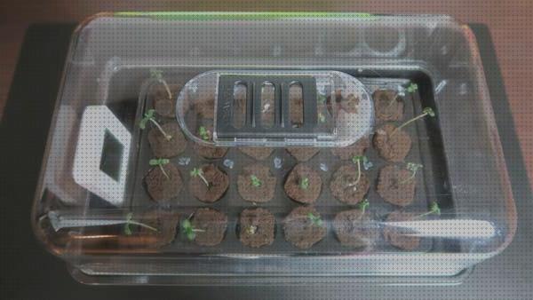 Las mejores kit semillas kit germinacion semillas marihuana