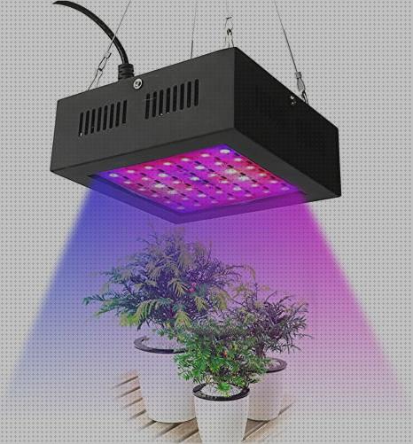 Las mejores led cachimba lampara led cultivo interior marihuana