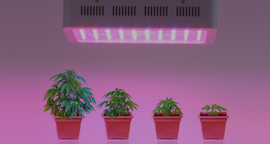 ¿Dónde poder comprar led cachimba lámparas led cultivo interior marihuana?