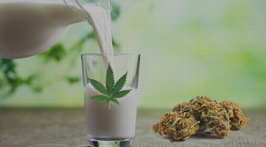 ¿Dónde poder comprar marihuanas leche de marihuanas con hojas secas?