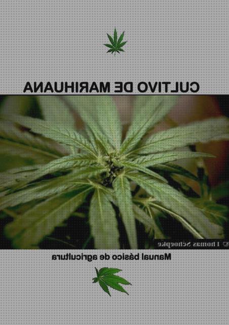 Los 25 Mejores Libros De Cultivos De Marihuanas
