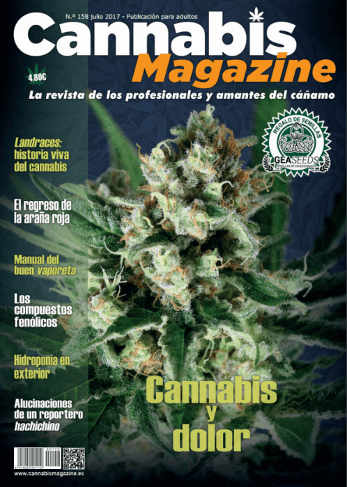 Análisis de los 14 mejores magazine para marihuana
