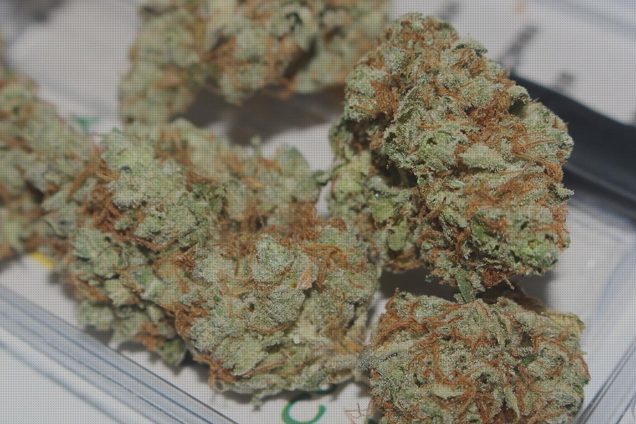 Review de marihuana kush secado