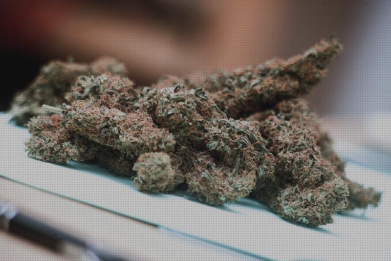 Las mejores marihuana secado oídio marihuanas marihuana secada con calefactor