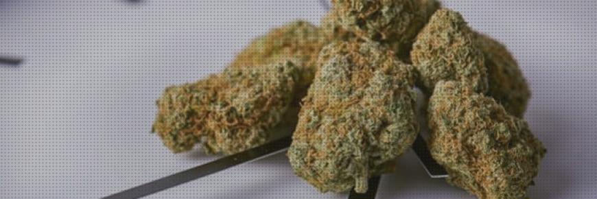 ¿Dónde poder comprar marihuana secado en microondas cachimba con alas cachimba de xixa marihuana secado al vapor en microondas?