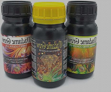 Las mejores marcas de semillas marihuana grow maceta 20 litros cantidad de agua marihuana marihuana autofloreciente maceta litros micro grow kit marihuana