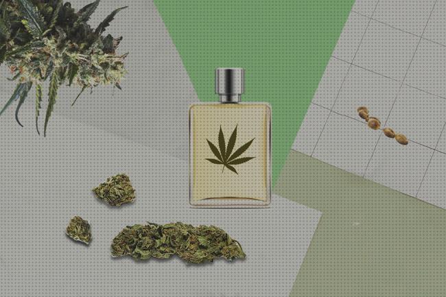 20 Mejores perfumes para marihuana bajo análisis