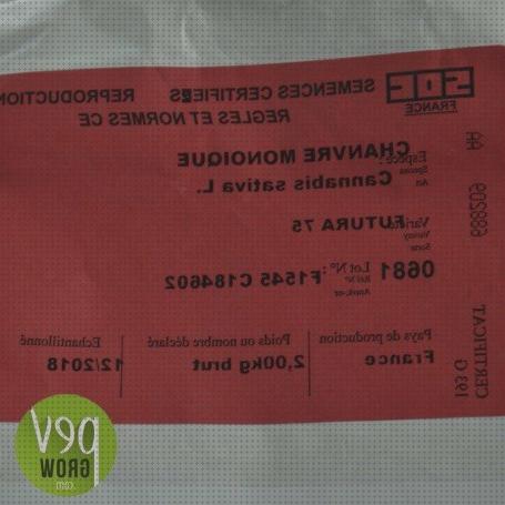 Las mejores semillas de cañamo pelado naturgreen semillas cañamo naturgreen articulo sancion olor a marihuana proovedor semillas cáñamo