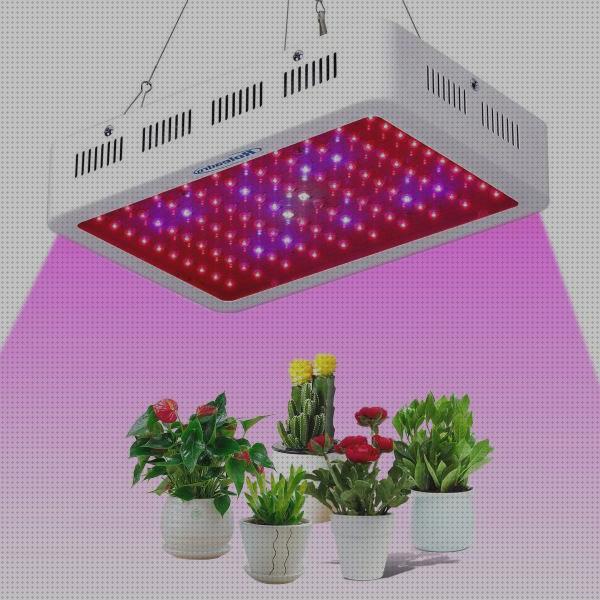 Review de roleadro lamparas led cultivo grow light 75w floracion marihuana