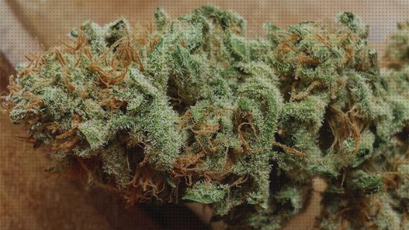 Los 21 Mejores cannabis secados bajo análisis
