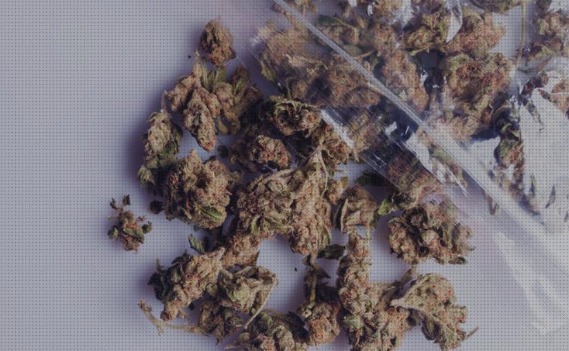 Mejores 22 artículos secos para marihuana