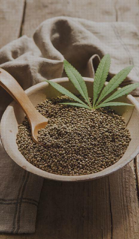 Las mejores marcas de articulo sancion olor a marihuana cachimba con alas cachimba de xixa semillas cañamo proteinas