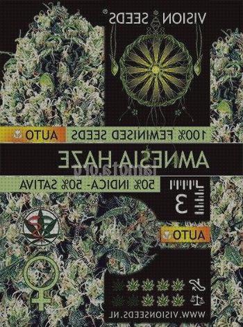 ¿Dónde poder comprar haze semillas semillas de marihuana amnesia haze?