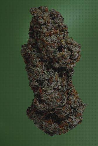 Las 27 Mejores Semillas De Marihuanas Amnesias Haze Soma Sacred