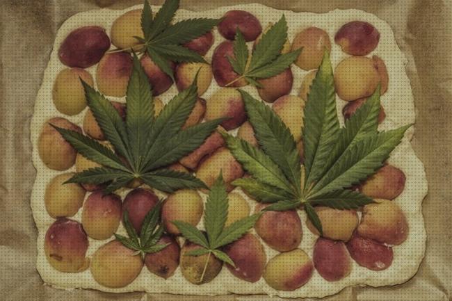 ¿Dónde poder comprar semillas de marihuana comestibles?