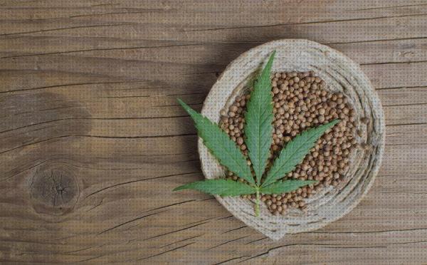 Review de semillas de marihuana herbal