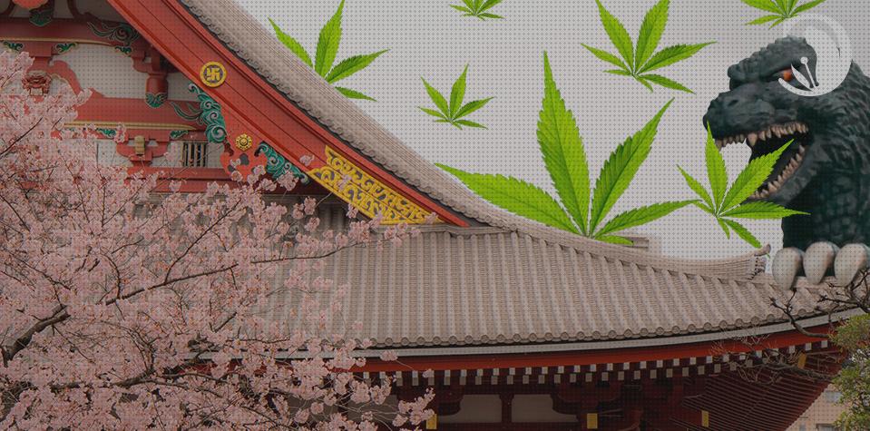 Las mejores semillas de marihuana japon