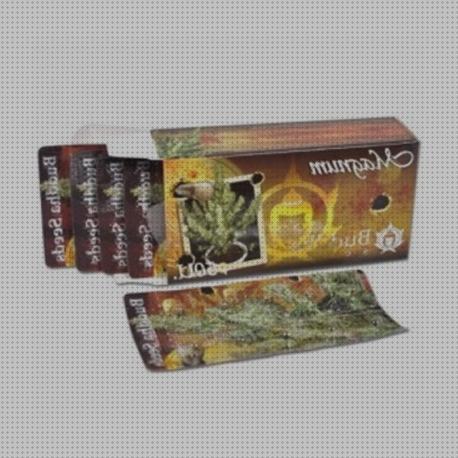 Las mejores semillas de marihuana magnu