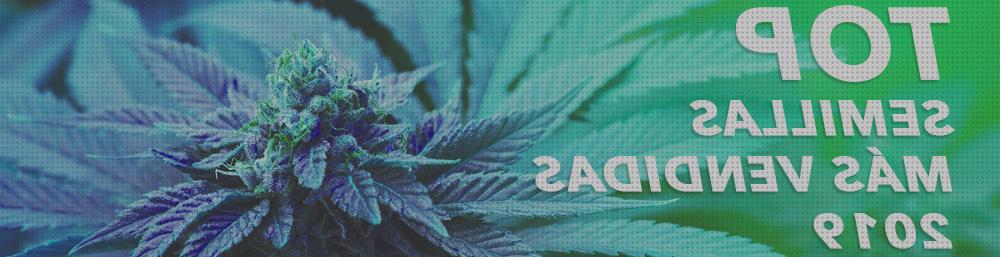 Análisis de las 27 mejores Semillas De Marihuanas Mas Vendidas 2020