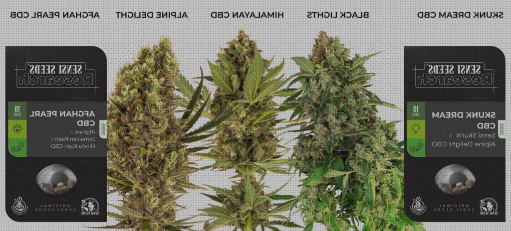 ¿Dónde poder comprar marihuana semillas cbd semillas de marihuana thc y cbd?