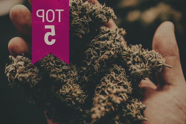 ¿Dónde poder comprar marihuanas semillas de marihuanas 2020?