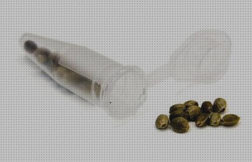 Las mejores marcas de marihuanas semillas semillas de marihuana conservacion