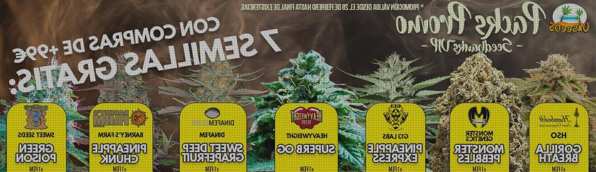 Las mejores marcas de semillas de marihuana eeuu