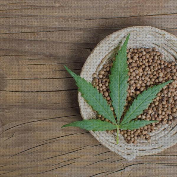 Las mejores marcas de marihuanas semillas semillas de marihuana pequeñas