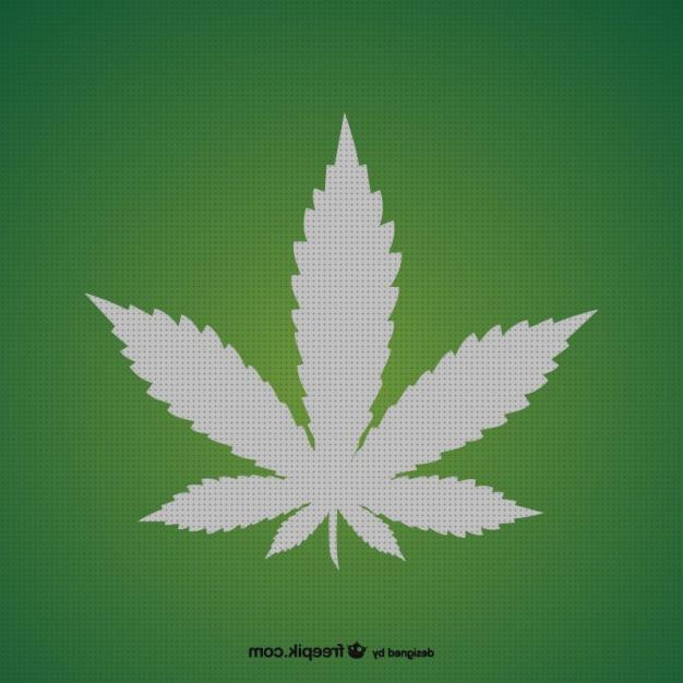 Las mejores marcas de marihuanas semillas semilla marihuana vector