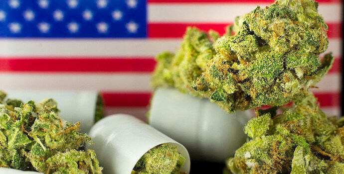 Mejores 22 semillas marihuanas americanas
