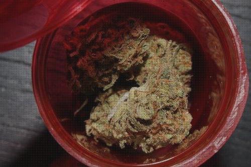 TOP 35 artículos para semillas marihuanas dormir bajo análisis